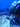 NOAA diver conducting an underwater reef survey