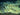 A real deep-sea whale fall community on the seafloor